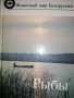 Животный мир Белоруссии: Рыбы, снимка 1 - Енциклопедии, справочници - 36738100