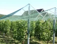 Мрежа против градушка и за засенчване - Защита и Комфорт в Земеделието!, снимка 6