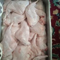 Заешко месо в Кутии, снимка 8 - Други - 38353106