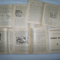 6 книжки художествено историческо четиво от 1940г., снимка 6 - Детски книжки - 40844650