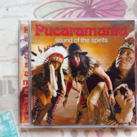 Audio CD: Pucaramanta; Game CD: Company of Heroes: Opposing Fronts, снимка 2 - CD дискове - 44559170