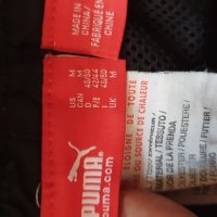 Шорти PUMA, снимка 3 - Къси панталони - 29215032