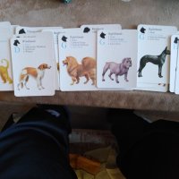 Колекционерски карти за игра, с кучета, снимка 5 - Карти за игра - 38499599