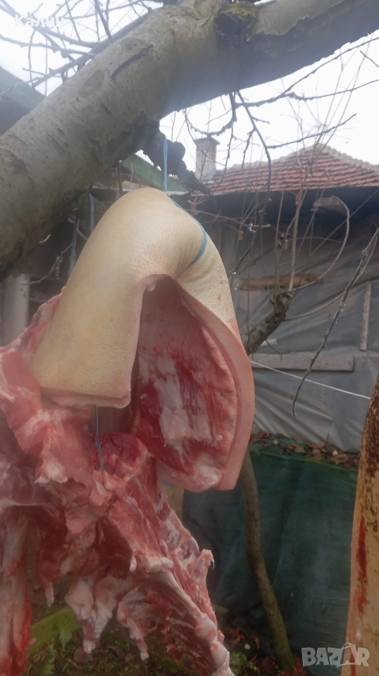 продава се месо и сланина , снимка 1