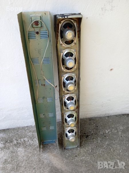 Тонколона българска, снимка 1