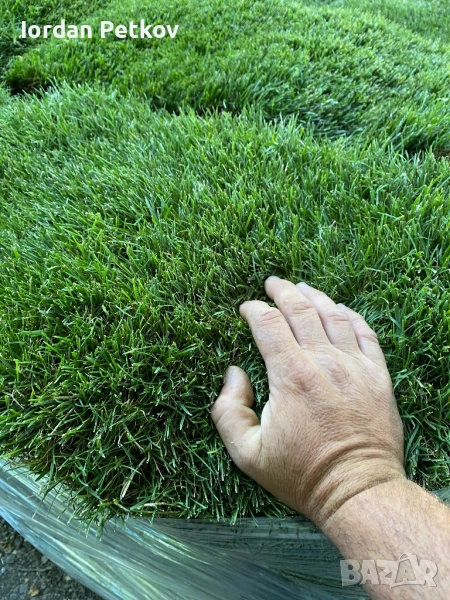 Тревен чим , снимка 1