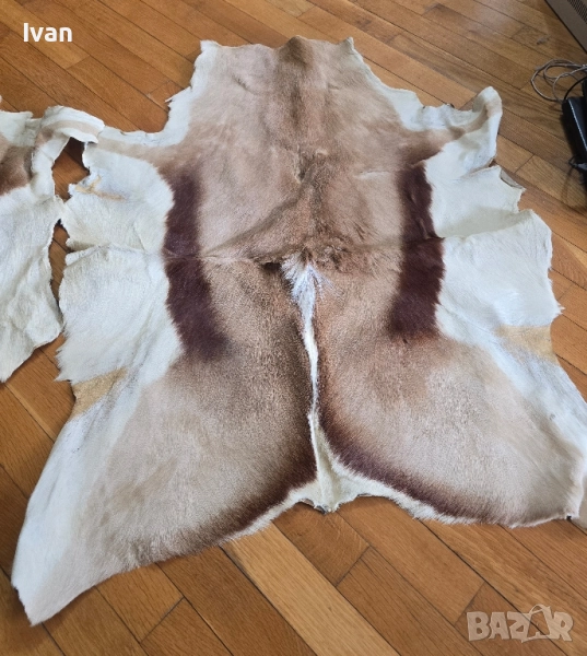 Африкански кожи от антилопа, снимка 1