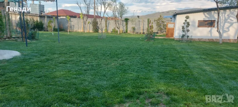 Косене на трева - райграс с моторна коса или косачка за гр.Шумен и селата , снимка 1