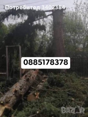 Рязане на високи и опасни дървета и почистване на дворове от треви и храсти., снимка 10 - Градинска техника - 36933277