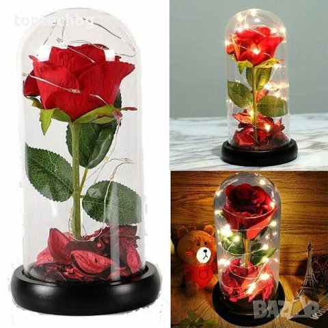 ВЕЧНА РОЗА В СТЪКЛЕНИЦА С LED ПОДСВЕТКА - КРАСАВИЦАТА И ЗВЯРА, снимка 1