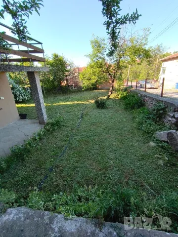 Косене на тревни площи , снимка 4 - Градински цветя и растения - 50153121