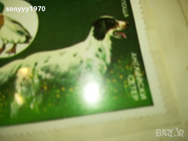 МАРКА 4 НРБ 1985 АНГЛИЙСКИ СЕТЕР 1203231608, снимка 4 - Филателия - 39972745