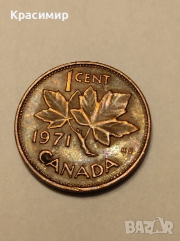 1 Цент Елизабет , снимка 5 - Нумизматика и бонистика - 51852129