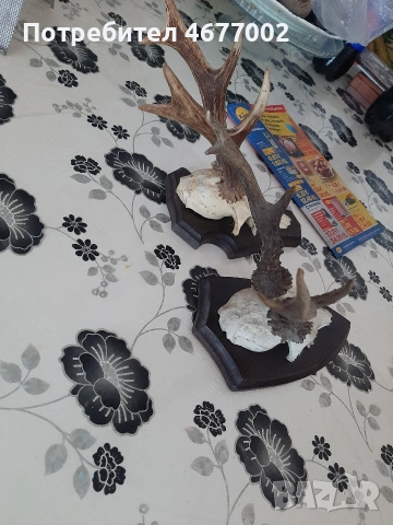 красиви сръндаци, снимка 5 - Антикварни и старинни предмети - 54317069