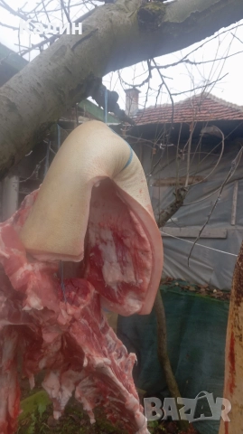продава се месо и сланина 