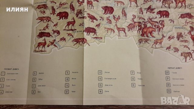 Карта на животните във България , снимка 8 - Енциклопедии, справочници - 31483482