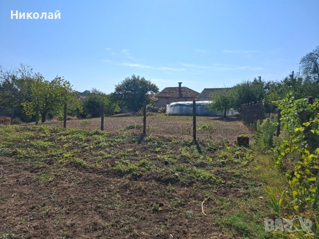 Имот в с. Калипетрово 1194 кв.м., снимка 6 - Парцели - 51746563