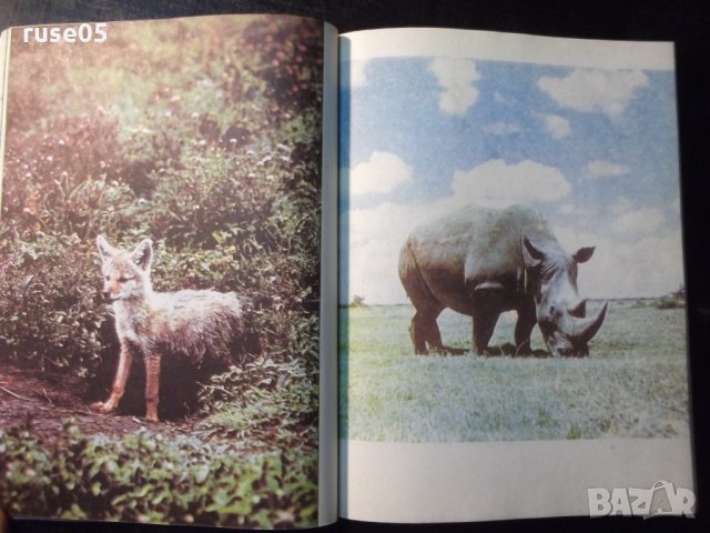 Книга "Няма място за диви животни - Б. Гжимек" - 214 стр., снимка 5 - Специализирана литература - 35571974