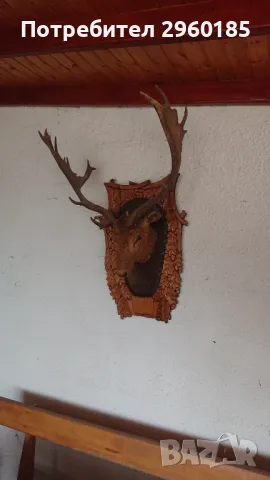 Трофей Лопатар, снимка 2 - Оборудване и аксесоари за оръжия - 47914312