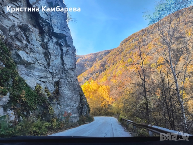 Апартамент в Рила планина, снимка 7 - Апартаменти - 52287396