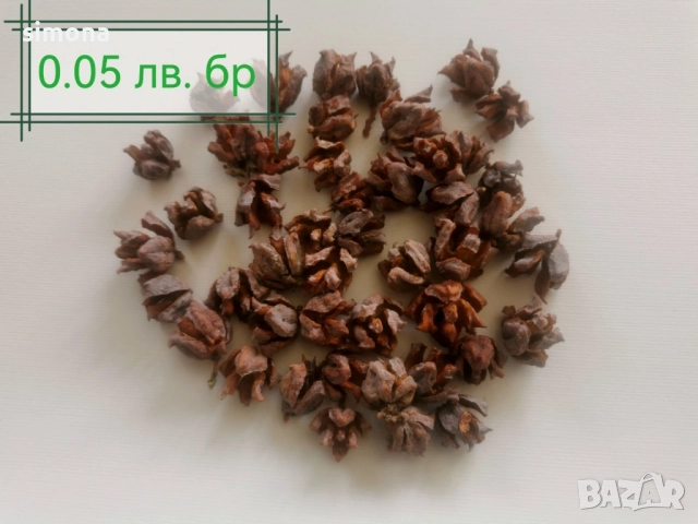 Естествени материали за коледна декорация , снимка 6 - Други - 52313805