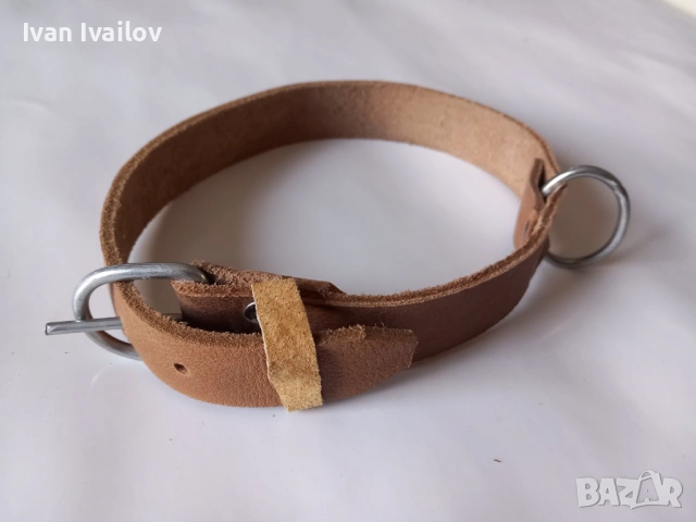 Класически нашийник от естествена кожа (Телешки бланк) – 60-65 см