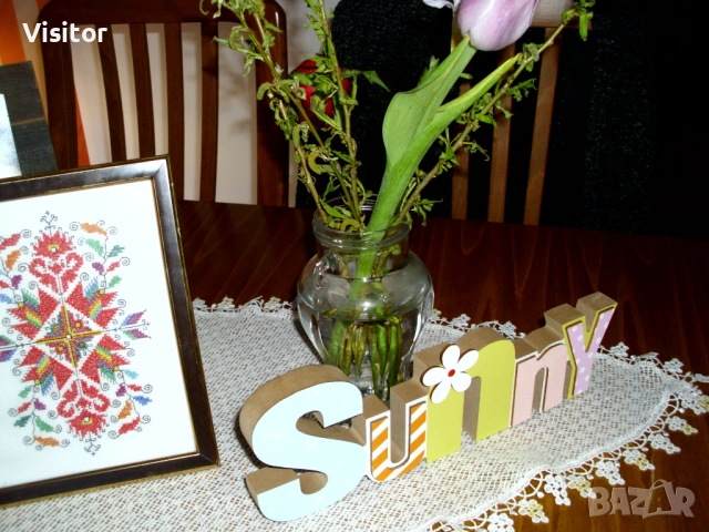 BenQ DC C1035   10 мрХ, снимка 12 - Фотоапарати - 54282156