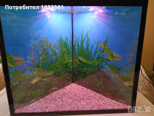 Ъглов аквариум , снимка 2 - Аквариуми - 49118973