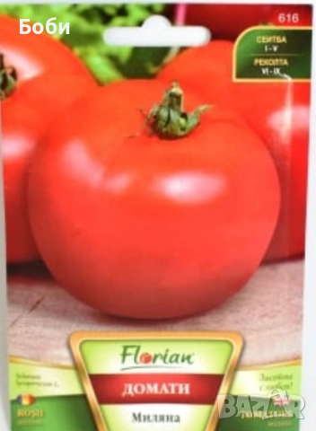 Семена за домати, снимка 3 - Сортови семена и луковици - 52504090