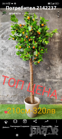 Изкуствени дръвчета , снимка 7 - Изкуствени цветя - 44702155