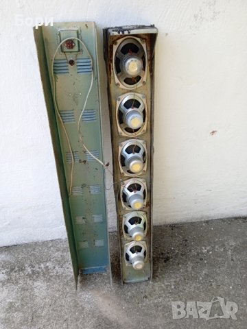 Тонколона българска