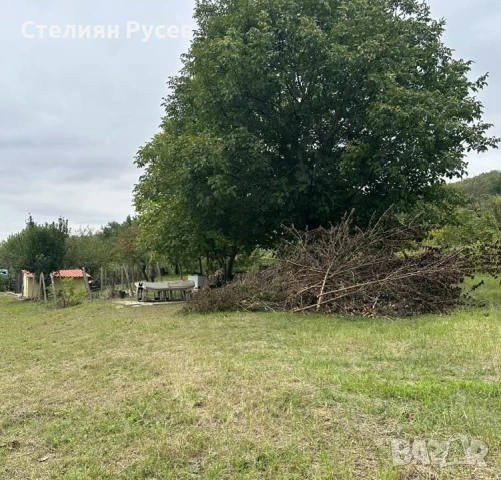 1045кв лозе / ГРАДИНА / терен / парцел / в гр. Силистра до бензиностанция Петрол - пътя за Варна на , снимка 10 - Парцели - 51975711