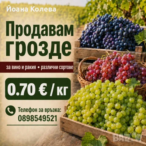 Продавам грозде
