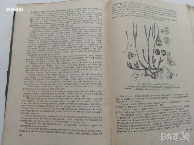 Общая Биология - В.Маховко,П.Макаров,К.Кострюкова - 1950 г., снимка 9 - Специализирана литература - 30444444