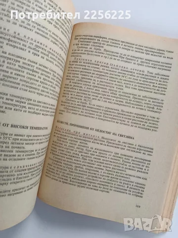 Фитопатология 1974г, снимка 8 - Специализирана литература - 56271326