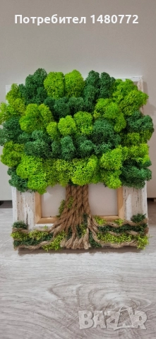 Дървото на живота със скандинавски мъх в рамка, снимка 11 - Пана - 48288866