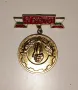 Пожарникарска значка "За Смелост" при пожари, снимка 1