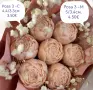 цветя молдове за свещи, снимка 1