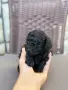 Той пудел toy poodle, снимка 6