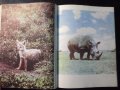 Книга "Няма място за диви животни - Б. Гжимек" - 214 стр., снимка 5