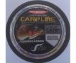 Флуорокарбоново влакно за риболов - FLUOROCARBON CARP 1000 м., снимка 1