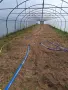 Земеделско и животновъдно стопанство , снимка 4