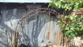 Ферми за малка оранжерия, снимка 2