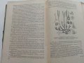 Общая Биология - В.Маховко,П.Макаров,К.Кострюкова - 1950 г., снимка 9