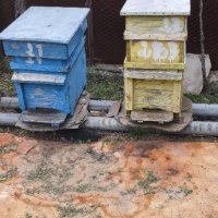 Пчелни кошери, снимка 7 - За пчели - 36628613