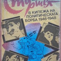 Стършел в кипежа на политическата борба 1946-1948, Веселка Велчева, снимка 1 - Специализирана литература - 30661389