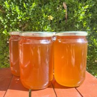 Пчелен мед, снимка 2 - Пчелни продукти - 35354944