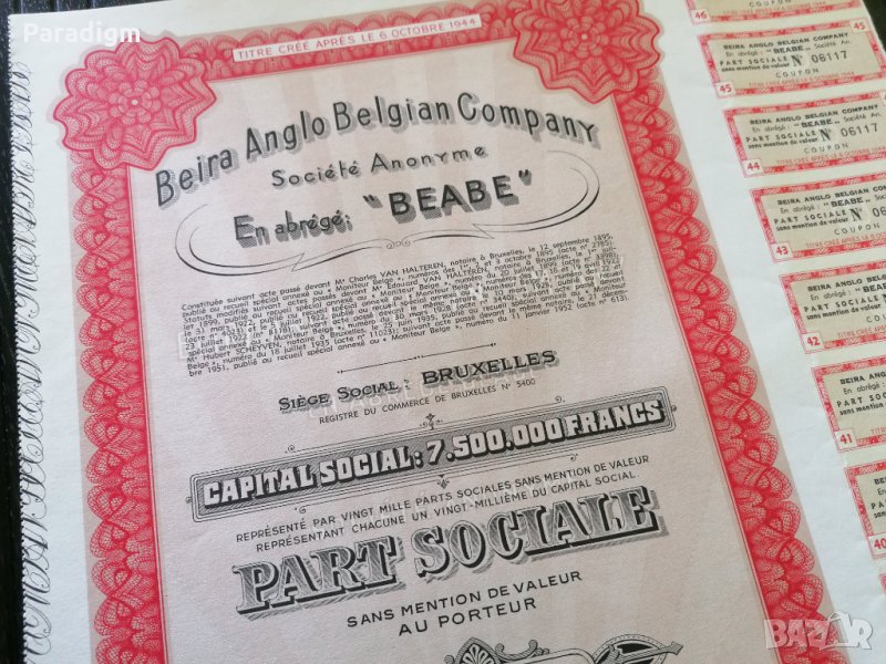 Акция от Белгия | Beira Anglo Belgian Company | 1944г., снимка 1