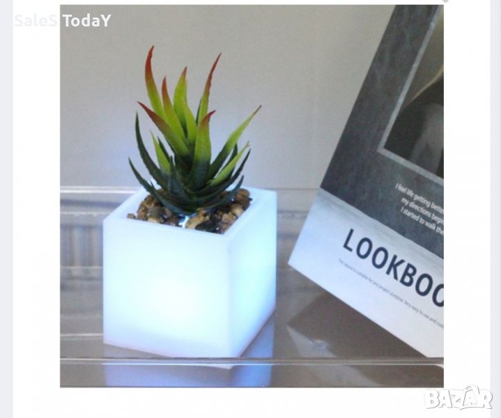 Нощна Лампа кактус, декоративна , снимка 1