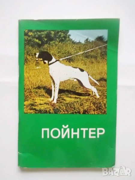 Книга Ловно куче Пойнтер 1980 г. БЛРС, снимка 1
